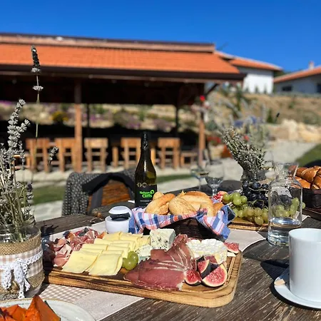 комплекс конна база асгард Vilă