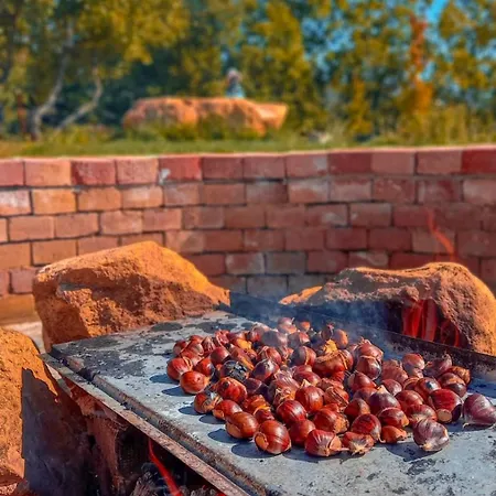 комплекс конна база асгард Villa