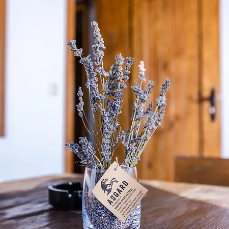 комплекс конна база асгард Villa