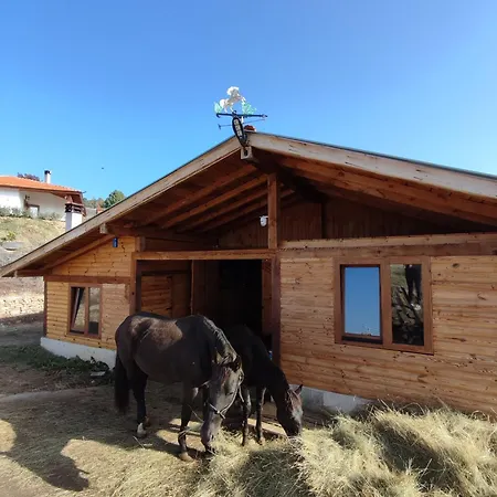 комплекс конна база асгард Villa Golem Tsalim