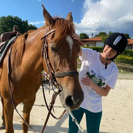 Vilă комплекс конна база асгард *