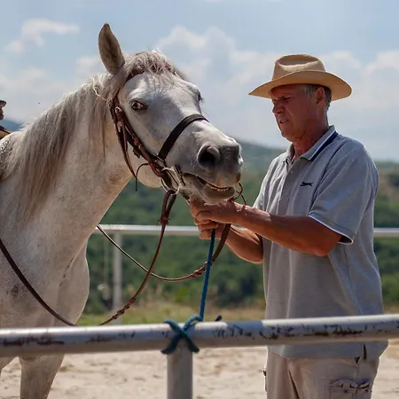комплекс конна база асгард Golem Tsalim